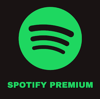 Spotify Premium Subscription