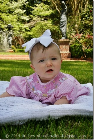 IMG_1479 (2) (533x800)