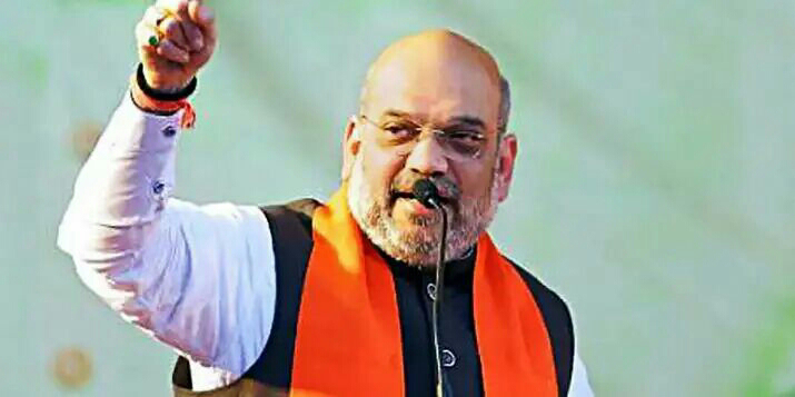 Statements like 'goli maro' should not have been made: Amit Shah after Delhi poll debacle