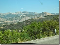 DSCN6073