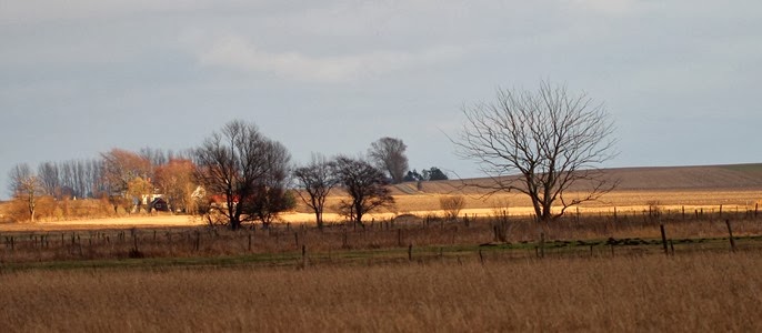2014-01-25 15.37.36