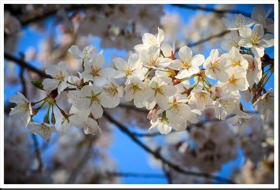Spring 0413-0010