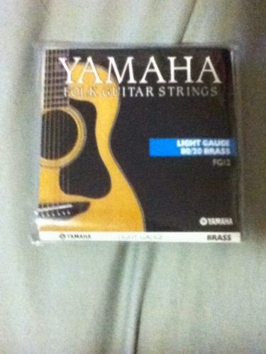 dây đàn guitar acoustic Yamaha FG12