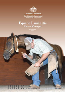 Equine Laminitis Current Concepts by Christopher C. Pollitt PDF