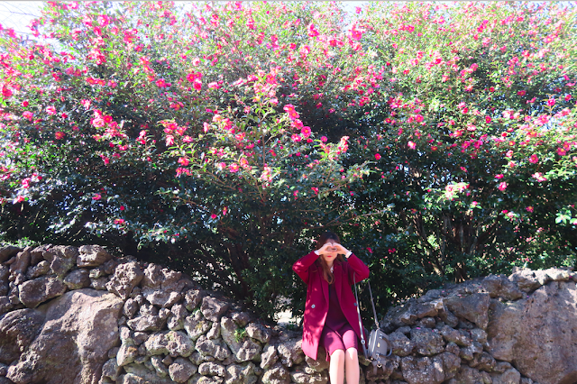 Camellia Hill Jeju