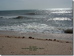 Beach1[1]