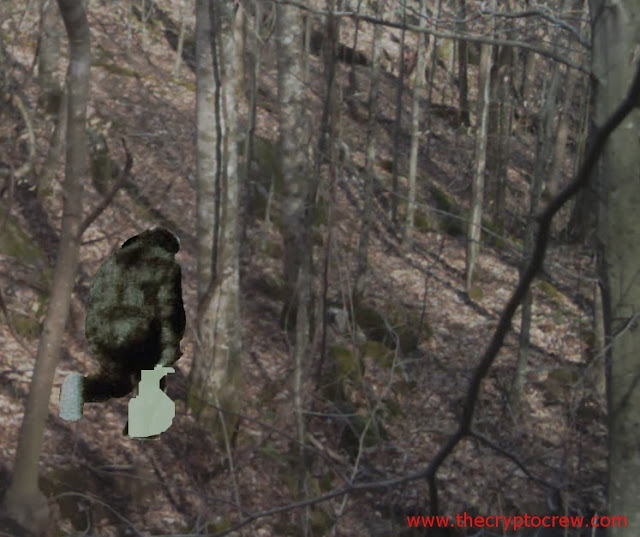 Bigfoot in Carter, KY 