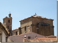 P6158408