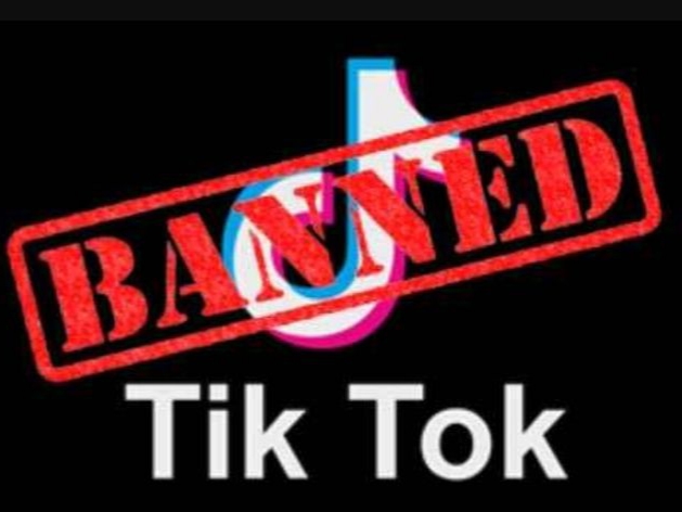 TikTok responds to Donald Trump's proposed ban: 'We're not planning on going anywhere'