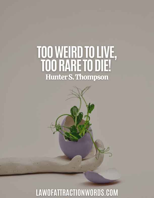 Short Quotes About Life And Death