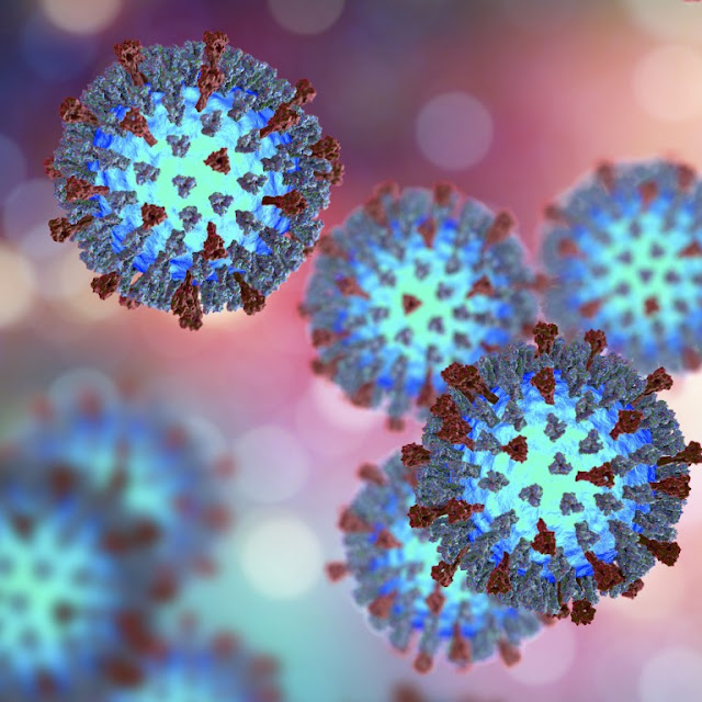 World's Coronavirus epidemic havoc