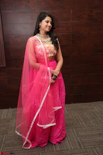 Geethanjali sizzles in Pink at Mixture Potlam Movie Audio Launch 040.JPG