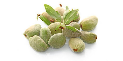  CARA MENGOLAH KACANG ALMOND YANG BENAR Keerom