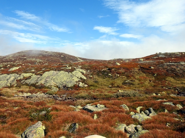 sørbølfjellet