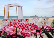 Creative Beach Wedding Arches (beach wedding arch )