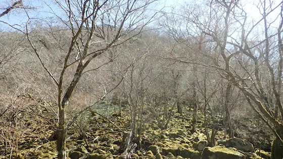 山賊岩を探しに干支の山竜王山（奥工石山）へ！！ | Trekking from Kochi