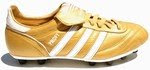 Man with Golden Shoes