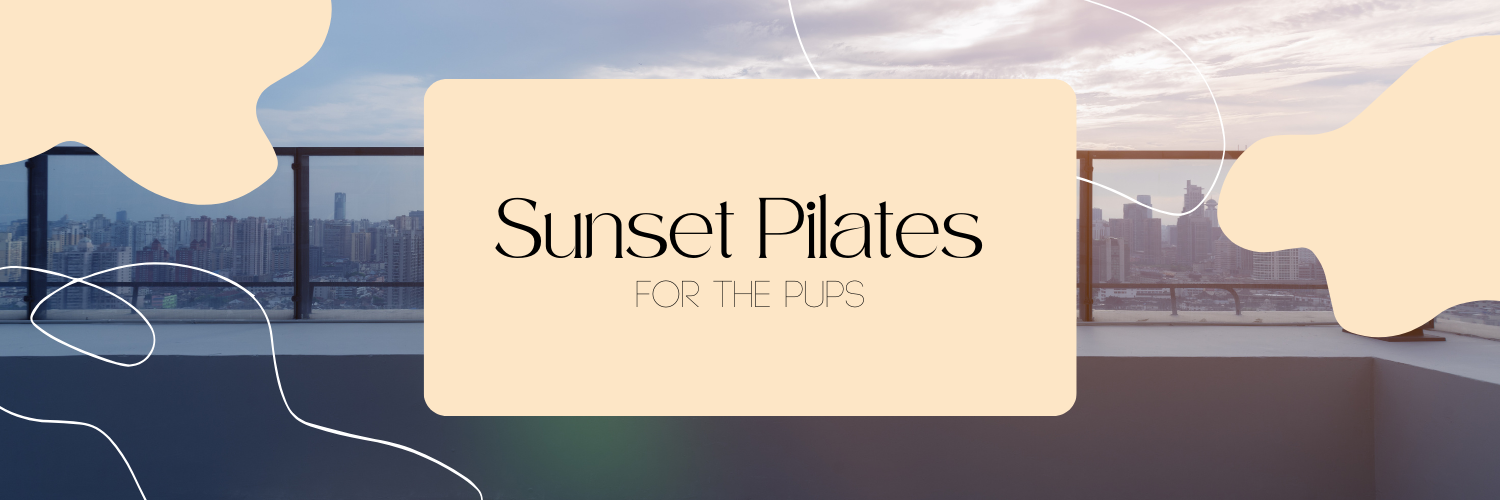 Sunset Pilates for the Pups