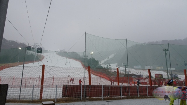 Vivaldi Park Snowy Land Klook