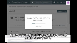 URL検査が始まりました