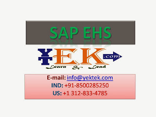 SAP EHS Training