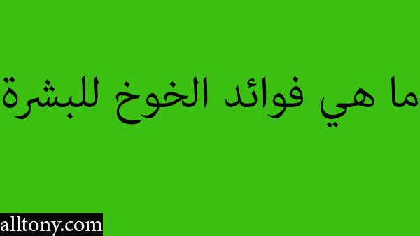 ما هي فوائد الخوخ للبشرة 