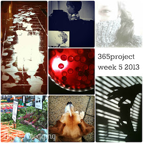 Fivegoblogging 365project week 5 2013