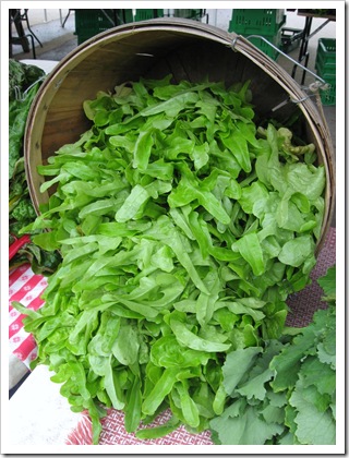 lettuce