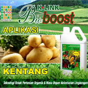 https://bioboostsakti.blogspot.co.id/2016/10/aplikasi-bioboost-pada-tanaman-kentang.html