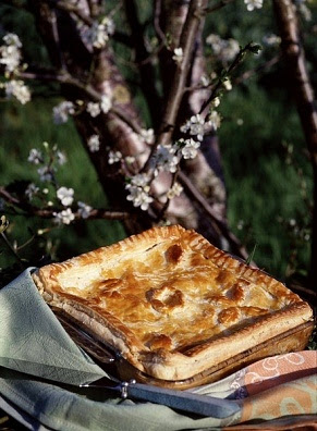 tarta de pollo