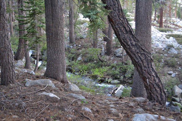 surging water of one more branch of Boulder Creek