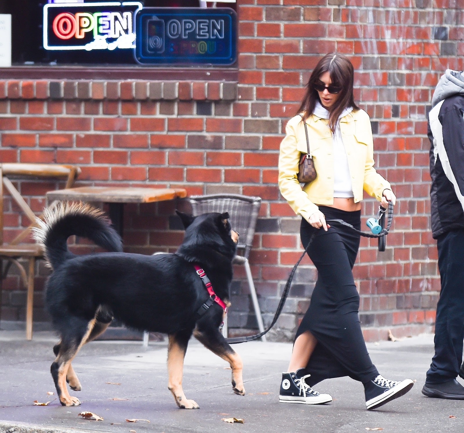 Emily Ratajkowski enjoys a Black Friday walk with her dog in Manhattan