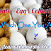 Are you a Potato, an Egg, or a Coffee bean ?