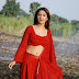 South Beautiful Actress Sridevi Sexy Navel Show