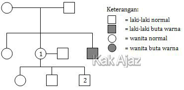 Silsilah kleuarga buta warna, gambar soal Biologi UN 2018 no. 39