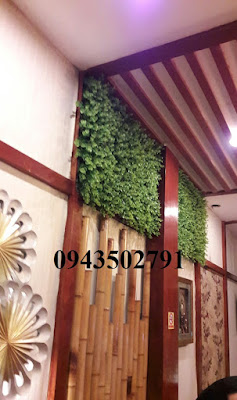 Trang trí tường, cây lá trang trí, cỏ lá treo tường