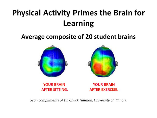 Advantages of Physical Education on Studies (It Improves Brain performance)