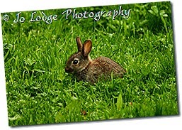 IMG_3102