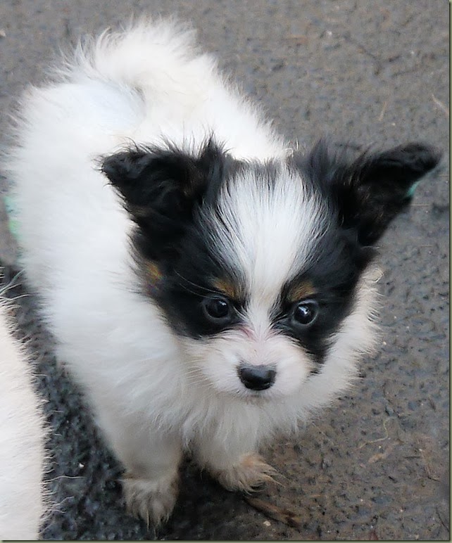 Tess 6weeks