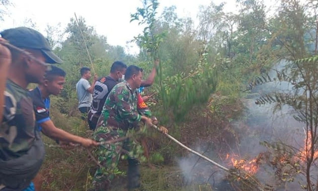 Babinsa Kurnia Irwan bersama Masyarakat Berjibaku Memadamkan Kebakaran Hutan