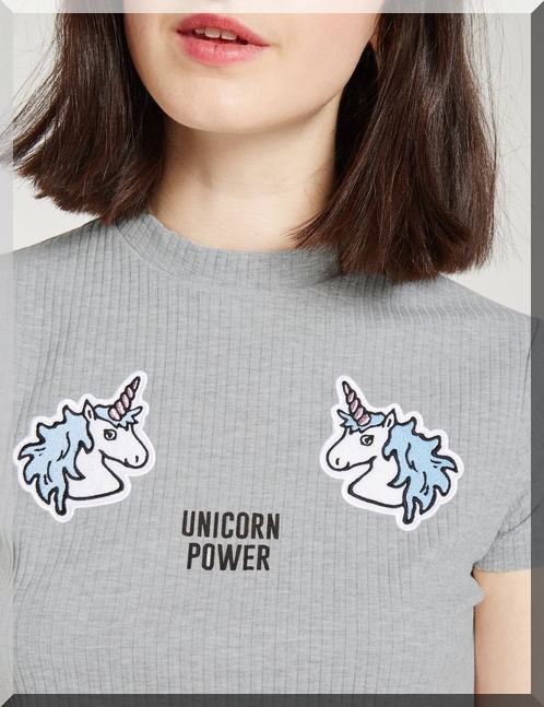 tee-shirt-gris-licorne