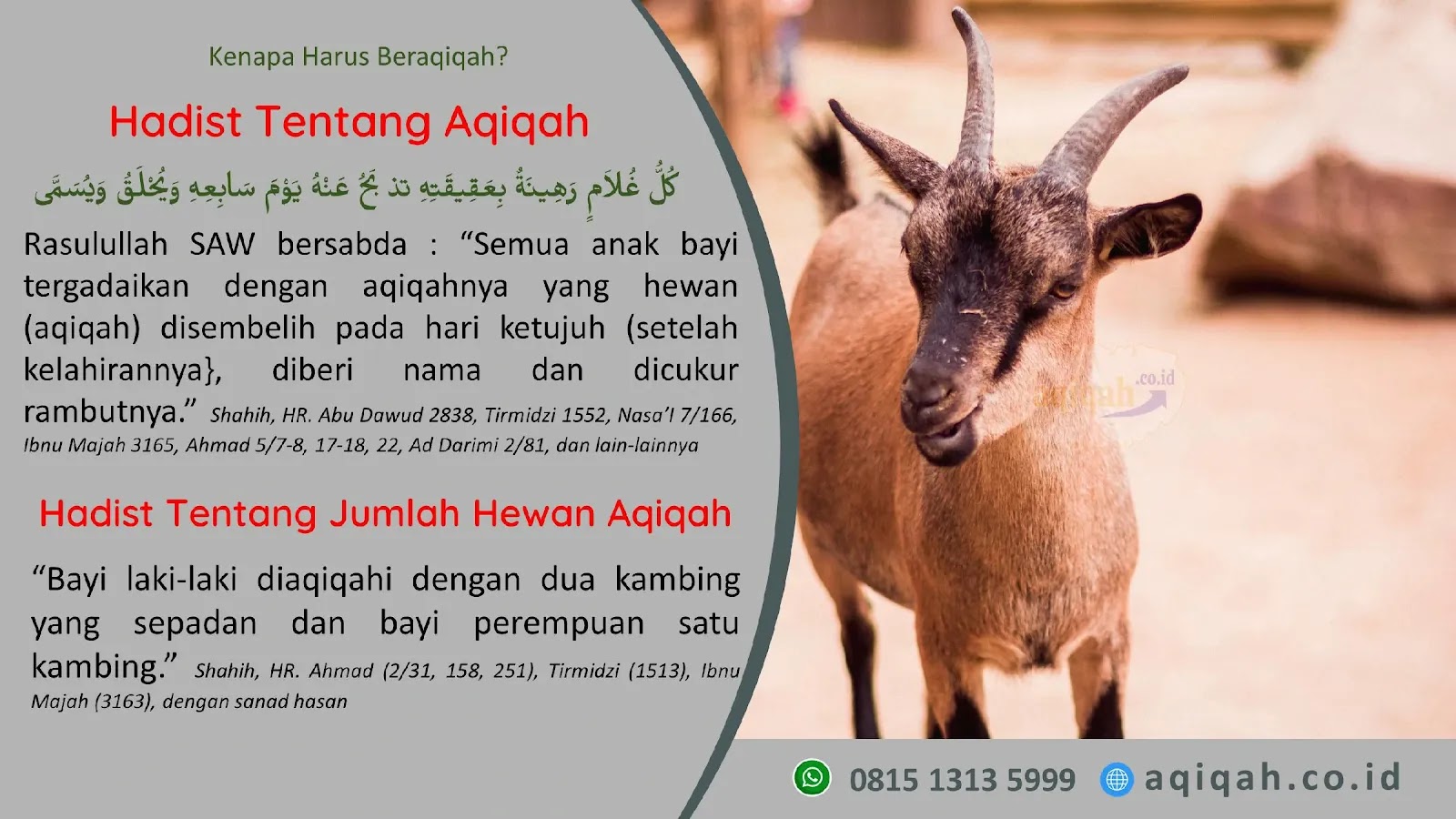 Harga Catering Akikah Purwosari Gunungkidul DI Yogyakarta