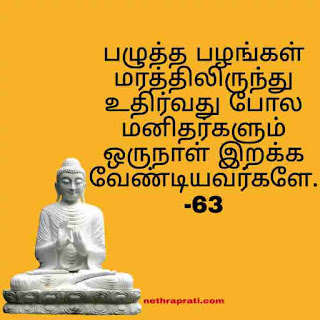 The teachings of the Buddha in Tamil