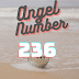 Embracing Angel Number 236: A Path to Spiritual Growth and Fulfillment.