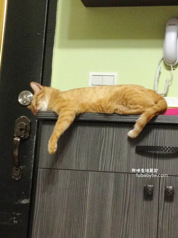 調整大小IMG_8576
