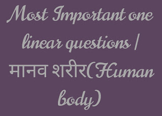 Most Important one linear questions | मानव शरीर(Human body)