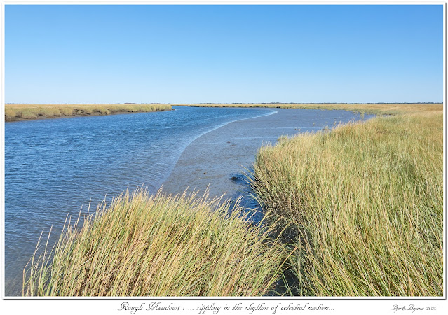 Rough Meadows: ... rippling in the rhythm of celestial motion...