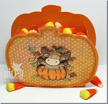 Riley-Pumpkin-Box2-wm