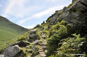 The Valley of Rocks, North Devon