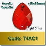 T4AC1 copy